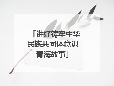 讲好铸牢中华民族共同体意识青海故事