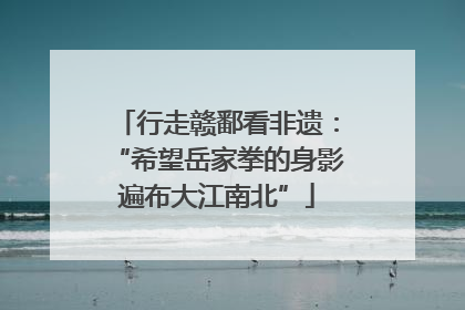 行走赣鄱看非遗：“希望岳家拳的身影遍布大江南北”