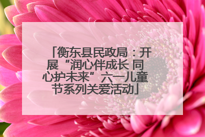 衡东县民政局：开展“润心伴成长 同心护未来”六一儿童节系列关爱活动