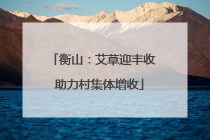 衡山：艾草迎丰收 助力村集体增收