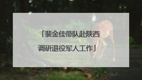 裴金佳带队赴陕西调研退役军人工作