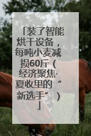 装了智能烘干设备，每吨小麦减损60斤（经济聚焦·夏收里的“新选手”）