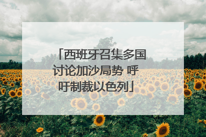 西班牙召集多国讨论加沙局势 呼吁制裁以色列