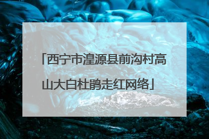 西宁市湟源县前沟村高山大白杜鹃走红网络
