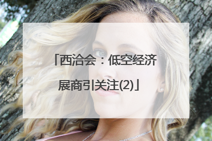 西洽会：低空经济展商引关注(2)