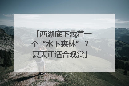 西湖底下藏着一个“水下森林”？夏天正适合观赏