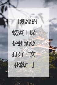 观潮的螃蟹丨保护耕地要打好“文化牌”