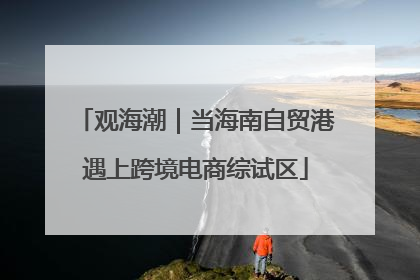 观海潮｜当海南自贸港遇上跨境电商综试区