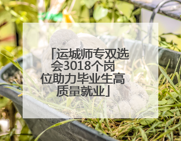 运城师专双选会3018个岗位助力毕业生高质量就业