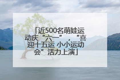 近500名萌娃运动庆“六一”，“喜迎十五运 小小运动会”活力上演