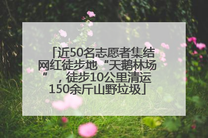 近50名志愿者集结网红徒步地“天鹅林场”，徒步10公里清运150余斤山野垃圾
