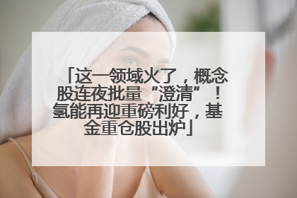这一领域火了，概念股连夜批量“澄清”！氢能再迎重磅利好，基金重仓股出炉