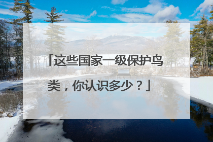 这些国家一级保护鸟类，你认识多少？