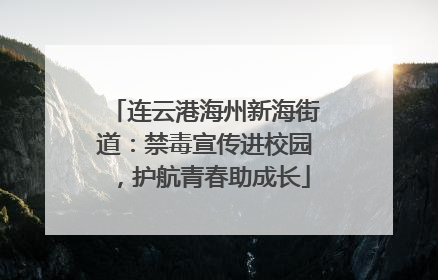连云港海州新海街道：禁毒宣传进校园，护航青春助成长