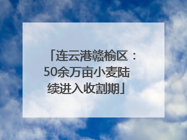 连云港赣榆区：50余万亩小麦陆续进入收割期