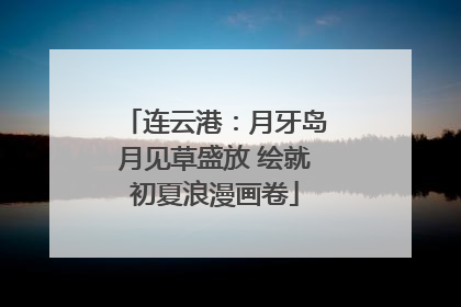 连云港：月牙岛月见草盛放 绘就初夏浪漫画卷