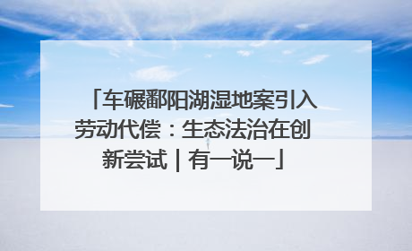 车碾鄱阳湖湿地案引入劳动代偿：生态法治在创新尝试｜有一说一