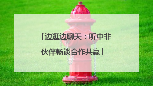 边逛边聊天：听中非伙伴畅谈合作共赢