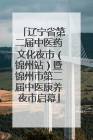 辽宁省第二届中医药文化夜市（锦州站）暨锦州市第二届中医康养夜市启幕