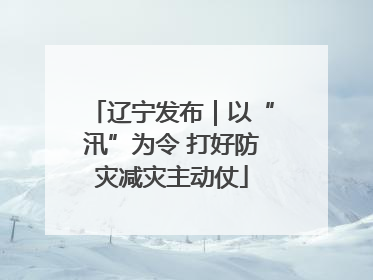 辽宁发布｜以“汛”为令 打好防灾减灾主动仗