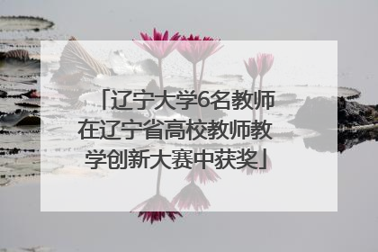 辽宁大学6名教师在辽宁省高校教师教学创新大赛中获奖