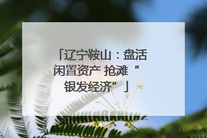 辽宁鞍山：盘活闲置资产 抢滩“银发经济”