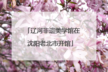 辽河非遗美学馆在沈阳老北市开馆
