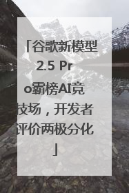 谷歌新模型2.5 Pro霸榜AI竞技场，开发者评价两极分化