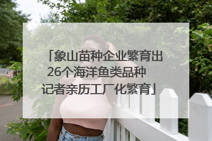象山苗种企业繁育出26个海洋鱼类品种 记者亲历工厂化繁育