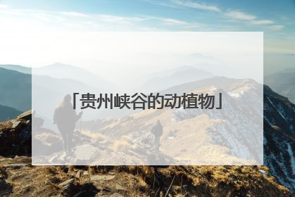 贵州峡谷的动植物