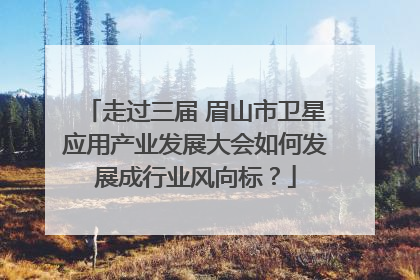 走过三届 眉山市卫星应用产业发展大会如何发展成行业风向标？