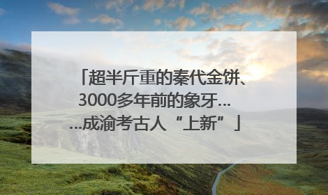 超半斤重的秦代金饼、3000多年前的象牙……成渝考古人“上新”