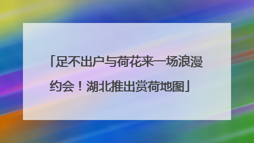 足不出户与荷花来一场浪漫约会！湖北推出赏荷地图