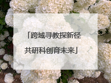 跨域寻教探新径 共研科创育未来