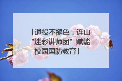 退役不褪色，连山“迷彩讲师团”赋能校园国防教育