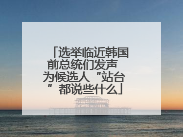 选举临近韩国前总统们发声 为候选人“站台”都说些什么