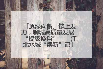 逐绿向新、链上发力，聊城高质量发展“提级换挡”——江北水城“焕新”记