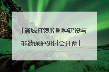 通城打锣腔剧种建设与非遗保护研讨会开幕