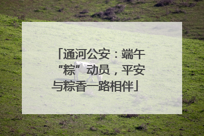 通河公安：端午“粽”动员，平安与粽香一路相伴