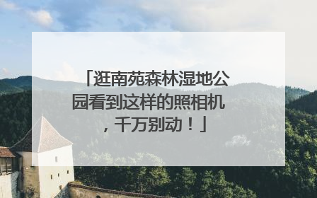 逛南苑森林湿地公园看到这样的照相机，千万别动！