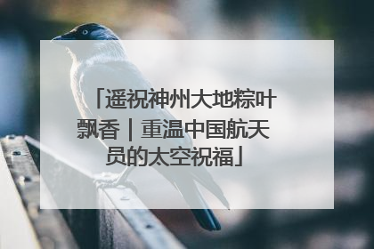 遥祝神州大地粽叶飘香｜重温中国航天员的太空祝福