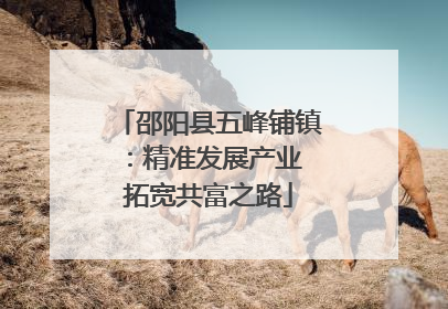 邵阳县五峰铺镇：精准发展产业 拓宽共富之路
