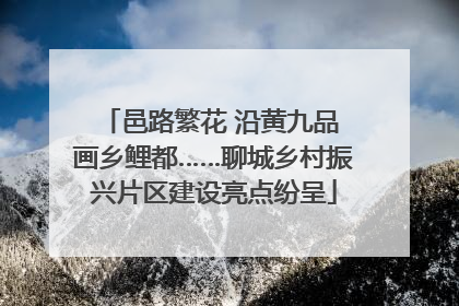 邑路繁花 沿黄九品 画乡鲤都……聊城乡村振兴片区建设亮点纷呈