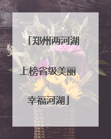 郑州两河湖上榜省级美丽幸福河湖