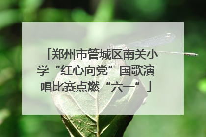 郑州市管城区南关小学“红心向党”国歌演唱比赛点燃“六一”