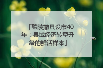 醴陵撤县设市40年：县域经济转型升级的鲜活样本