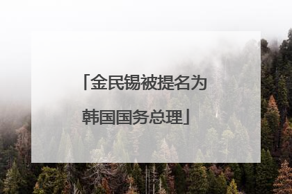 金民锡被提名为韩国国务总理