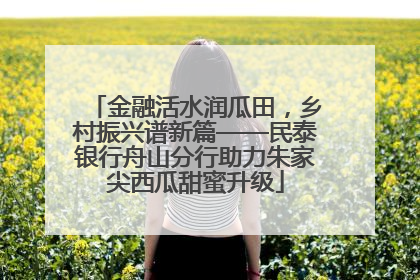 金融活水润瓜田，乡村振兴谱新篇——民泰银行舟山分行助力朱家尖西瓜甜蜜升级