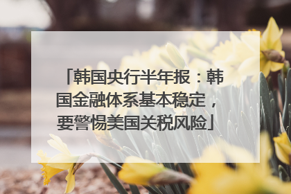 韩国央行半年报：韩国金融体系基本稳定，要警惕美国关税风险