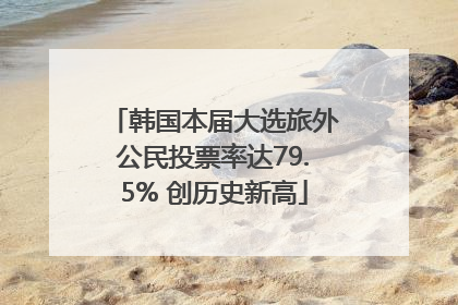 韩国本届大选旅外公民投票率达79.5% 创历史新高